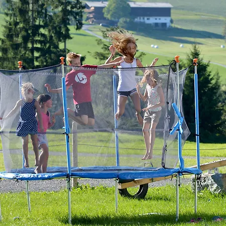 Hinterebenhub Hopfgarten im Brixental