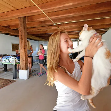 Dom wakacyjny Hinterebenhub